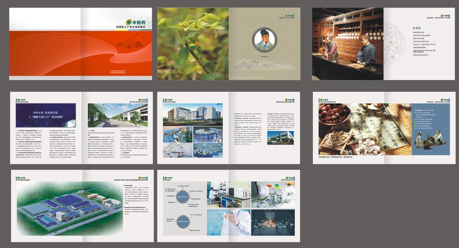 设计印刷中医药产业园项目画册工业园开发区招商引资图册设计素材